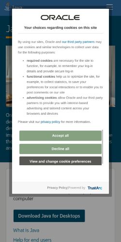 Screenshot of the audited page (Mobile 375×812)
