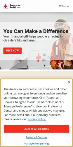 Screenshot of the audited page (Mobile 375×812)