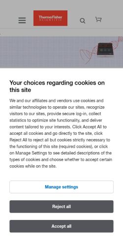 Screenshot of the audited page (Mobile 375×812)