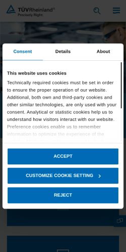 Screenshot of the audited page (Mobile 375×812)