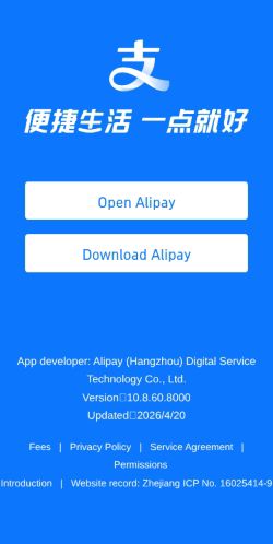 Screenshot of the audited page (Mobile 375×812)