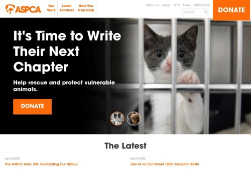 Screenshot of the audited page (Desktop 1440×900)