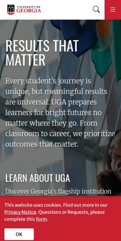 Screenshot of the audited page (Mobile 375×812)