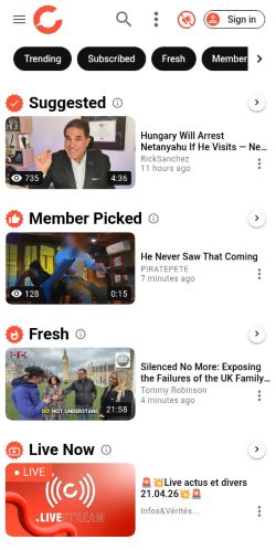Screenshot of the audited page (Mobile 375×812)
