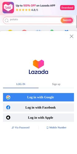 Screenshot of the audited page (Mobile 375×812)