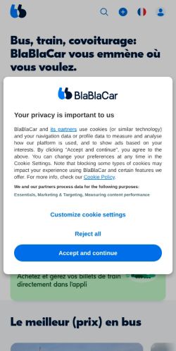 Screenshot of the audited page (Mobile 375×812)