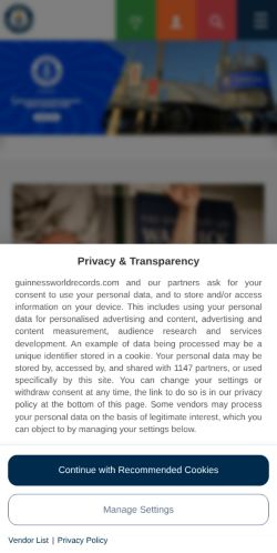 Screenshot of the audited page (Mobile 375×812)