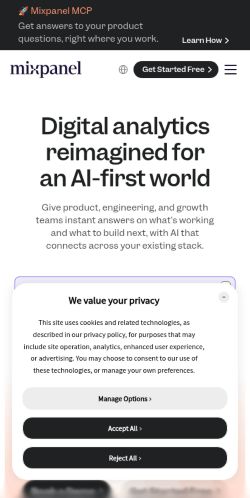 Screenshot of the audited page (Mobile 375×812)