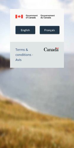 Screenshot of the audited page (Mobile 375×812)