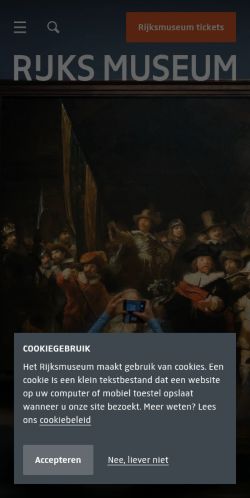 Screenshot of the audited page (Mobile 375×812)