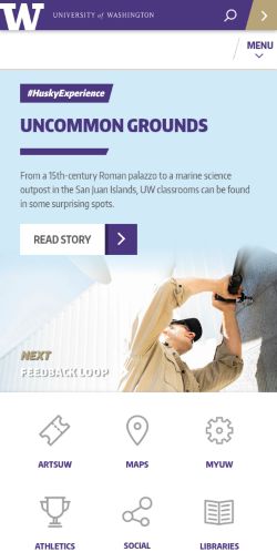 Screenshot of the audited page (Mobile 375×812)