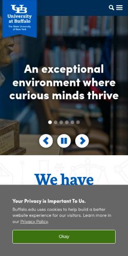 Screenshot of the audited page (Mobile 375×812)
