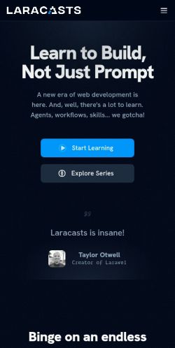 Screenshot of the audited page (Mobile 375×812)