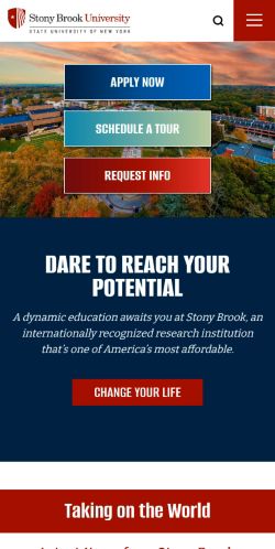 Screenshot of the audited page (Mobile 375×812)