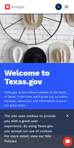 Screenshot of the audited page (Mobile 375×812)