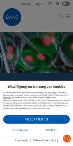 Screenshot of the audited page (Mobile 375×812)