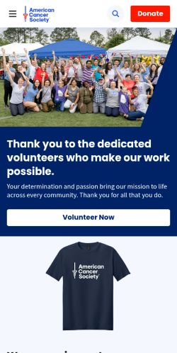 Screenshot of the audited page (Mobile 375×812)