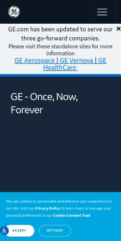 Screenshot of the audited page (Mobile 375×812)