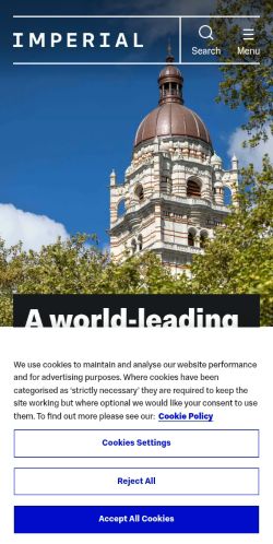 Screenshot of the audited page (Mobile 375×812)