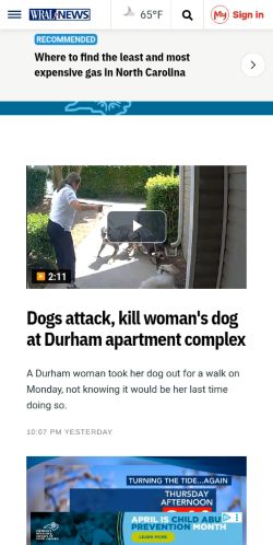 Screenshot of the audited page (Mobile 375×812)