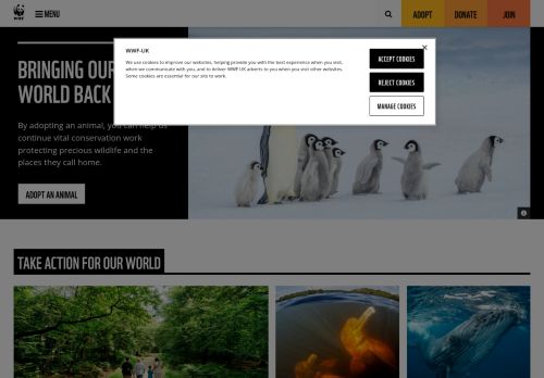 Screenshot of the audited page (Desktop 1440×900)