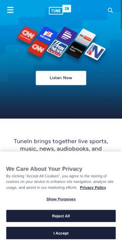 Screenshot of the audited page (Mobile 375×812)