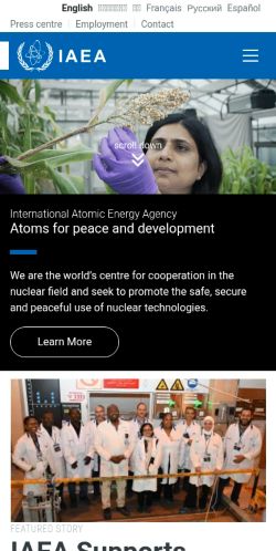 Screenshot of the audited page (Mobile 375×812)