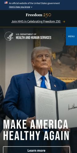 Screenshot of the audited page (Mobile 375×812)