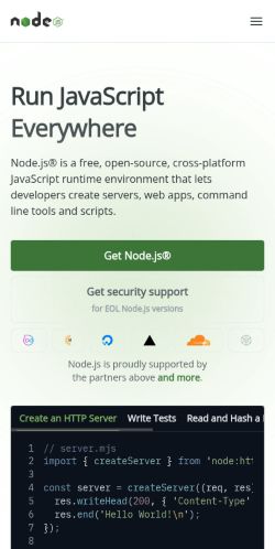 Screenshot of the audited page (Mobile 375×812)