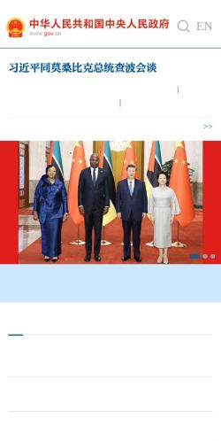 Screenshot of the audited page (Mobile 375×812)