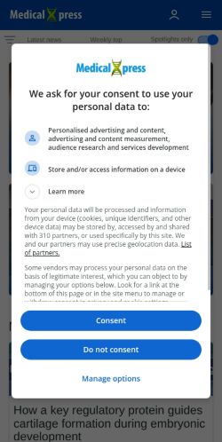 Screenshot of the audited page (Mobile 375×812)