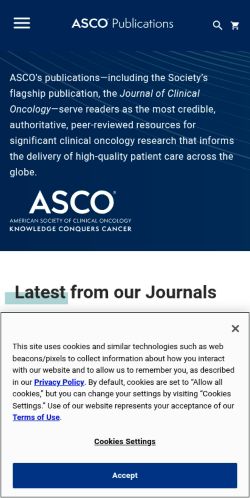 Screenshot of the audited page (Mobile 375×812)