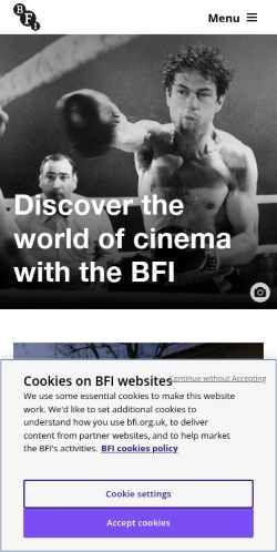 Screenshot of the audited page (Mobile 375×812)