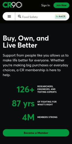 Screenshot of the audited page (Mobile 375×812)