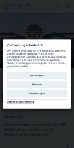 Screenshot of the audited page (Mobile 375×812)