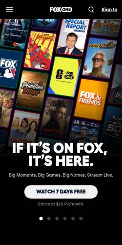 Screenshot of the audited page (Mobile 375×812)