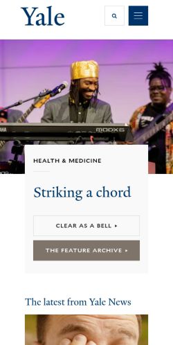 Screenshot of the audited page (Mobile 375×812)