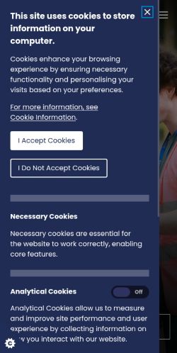 Screenshot of the audited page (Mobile 375×812)