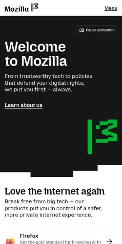 Screenshot of the audited page (Mobile 375×812)