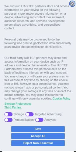Screenshot of the audited page (Mobile 375×812)