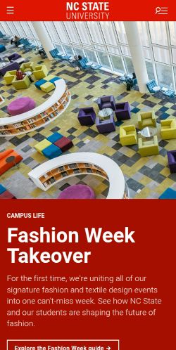 Screenshot of the audited page (Mobile 375×812)