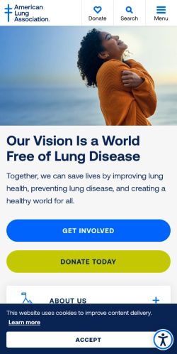 Screenshot of the audited page (Mobile 375×812)