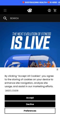 Screenshot of the audited page (Mobile 375×812)