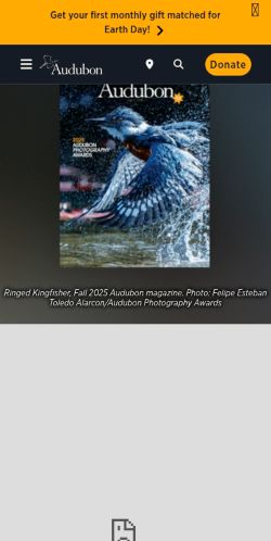 Screenshot of the audited page (Mobile 375×812)