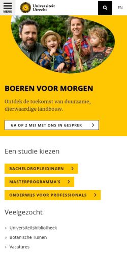 Screenshot of the audited page (Mobile 375×812)