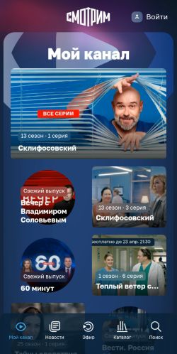 Screenshot of the audited page (Mobile 375×812)