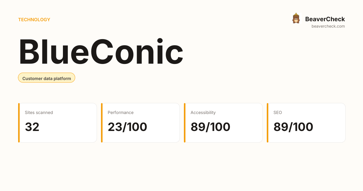 BlueConic Performance Audit — BeaverCheck