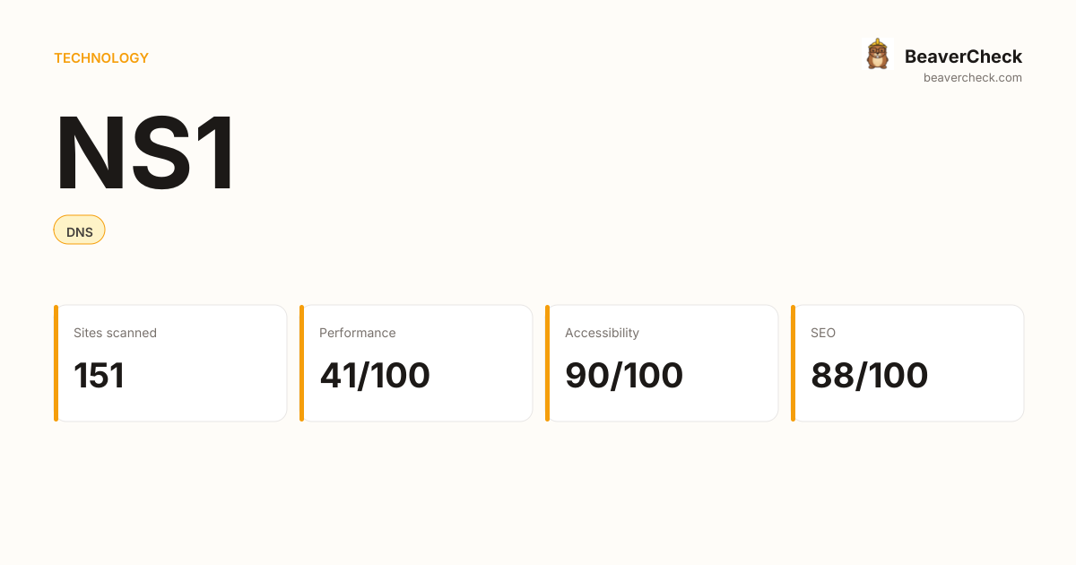 NS1 Performance Audit — BeaverCheck
